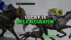 Stake NOT returned free bet calculator  .